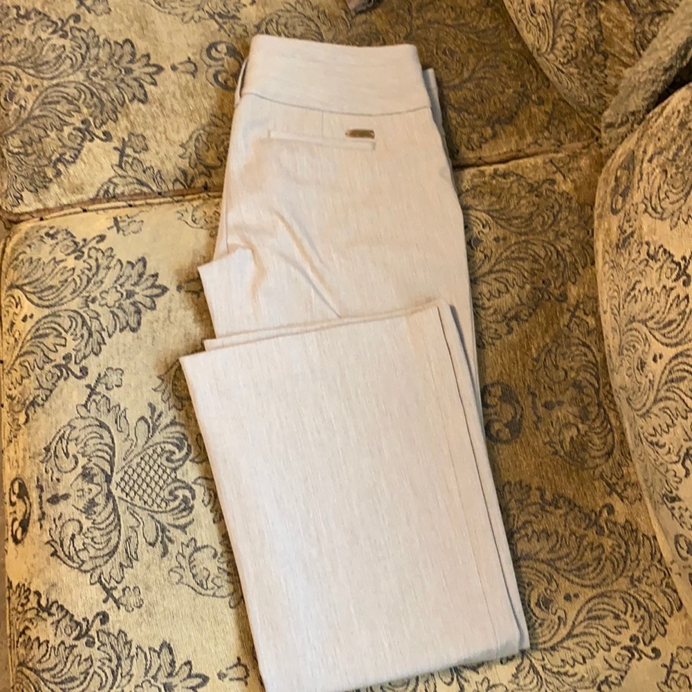 Express dressy pants. Size 2S